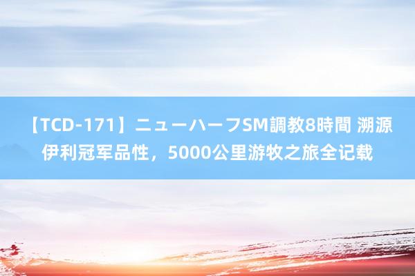 【TCD-171】ニューハーフSM調教8時間 溯源伊利冠军品性，5000公里游牧之旅全记载