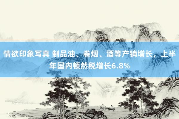 情欲印象写真 制品油、卷烟、酒等产销增长，上半年国内顿然税增长6.8%