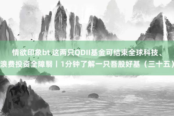 情欲印象bt 这两只QDII基金可结束全球科技、浪费投资全障翳丨1分钟了解一只吾股好基（三十五）