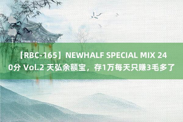 【RBC-165】NEWHALF SPECIAL MIX 240分 Vol.2 天弘余额宝，存1万每天只赚3毛多了