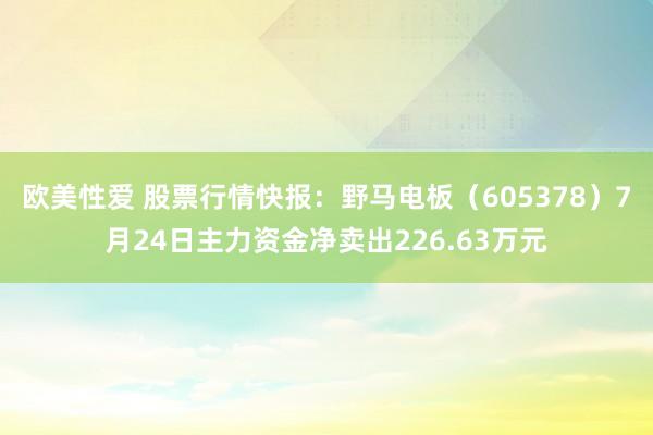 欧美性爱 股票行情快报：野马电板（605378）7月24日主力资金净卖出226.63万元