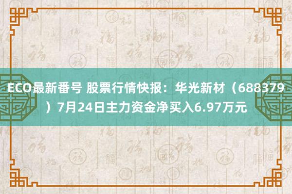 ECO最新番号 股票行情快报：华光新材（688379）7月24日主力资金净买入6.97万元