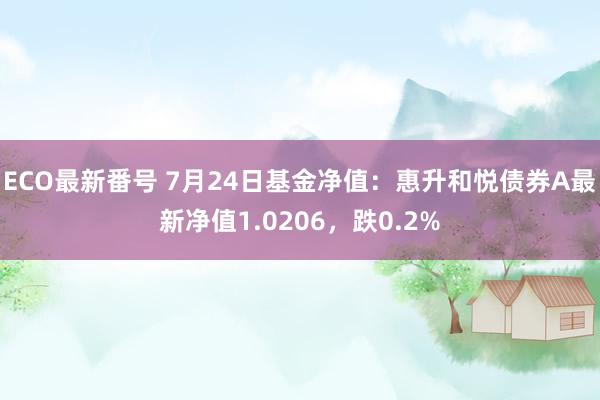 ECO最新番号 7月24日基金净值：惠升和悦债券A最新净值1.0206，跌0.2%