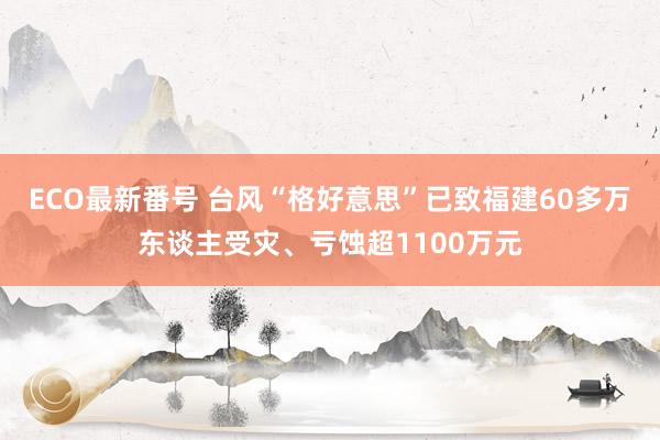 ECO最新番号 台风“格好意思”已致福建60多万东谈主受灾、亏蚀超1100万元