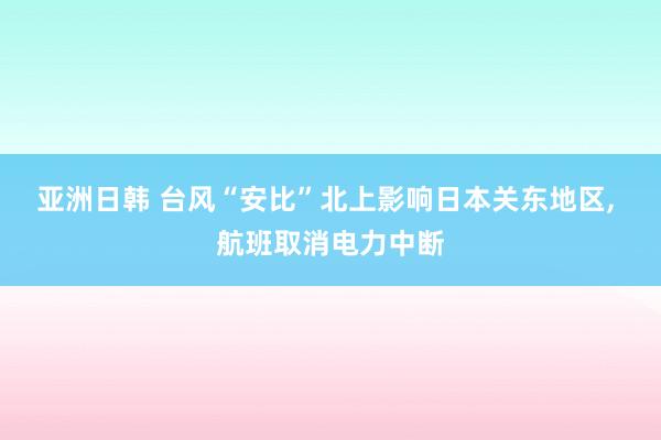 亚洲日韩 台风“安比”北上影响日本关东地区， 航班取消电力中断