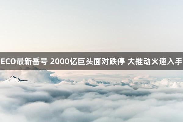 ECO最新番号 2000亿巨头面对跌停 大推动火速入手