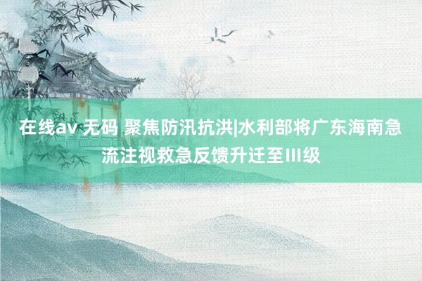 在线av 无码 聚焦防汛抗洪|水利部将广东海南急流注视救急反馈升迁至Ⅲ级