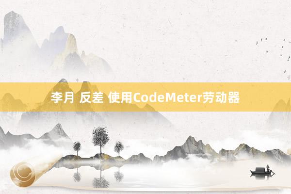 李月 反差 使用CodeMeter劳动器