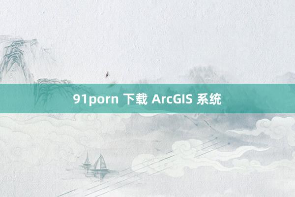 91porn 下载 ArcGIS 系统