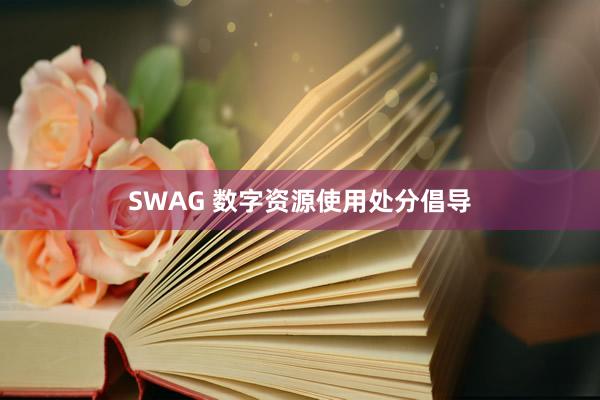 SWAG 数字资源使用处分倡导